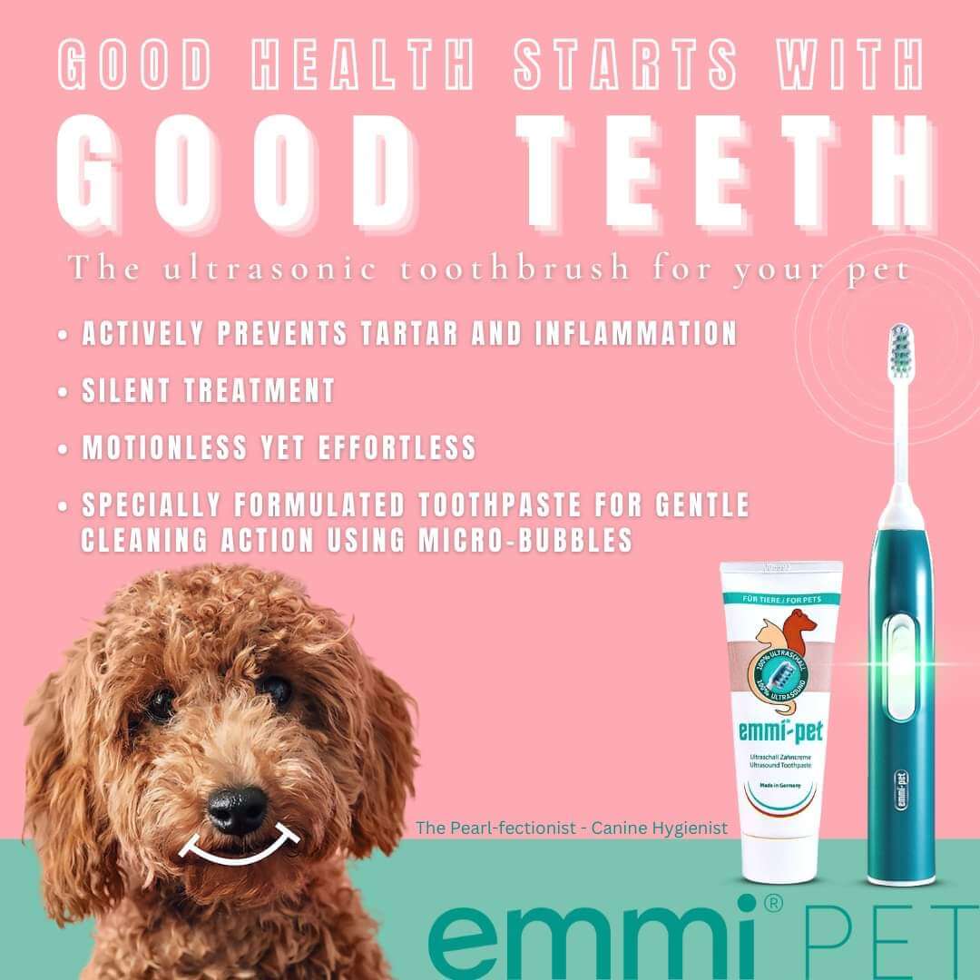 Promotional Imagery for the Emmi-Pet Toothbrush.
